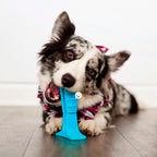 Juguete Cepillo Dientes Grande