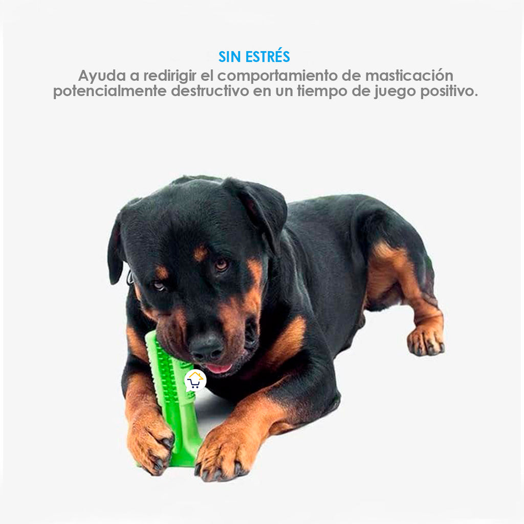 Juguete Cepillo Dientes Grande