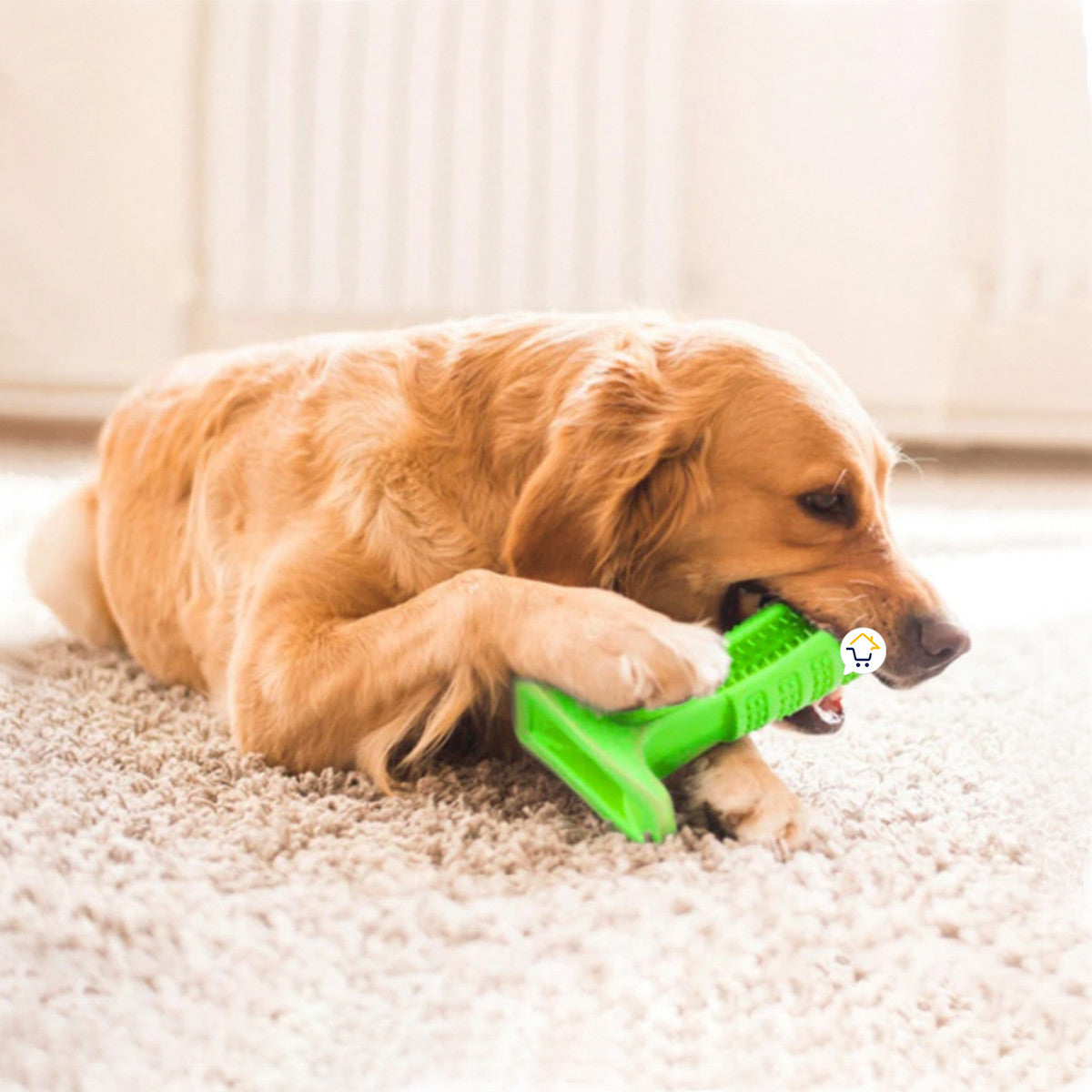 Juguete Cepillo Dientes Grande