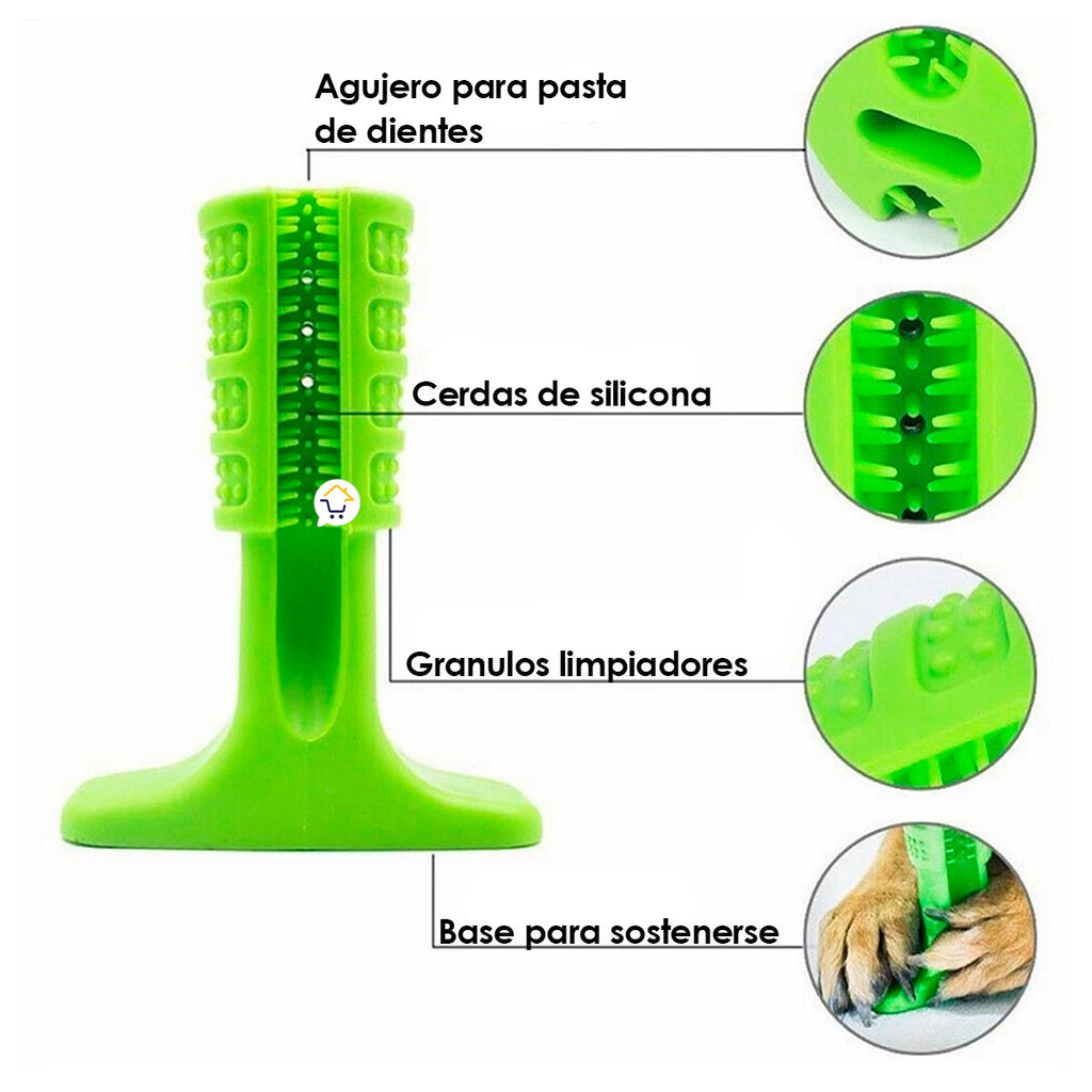 Juguete Cepillo Dientes Grande