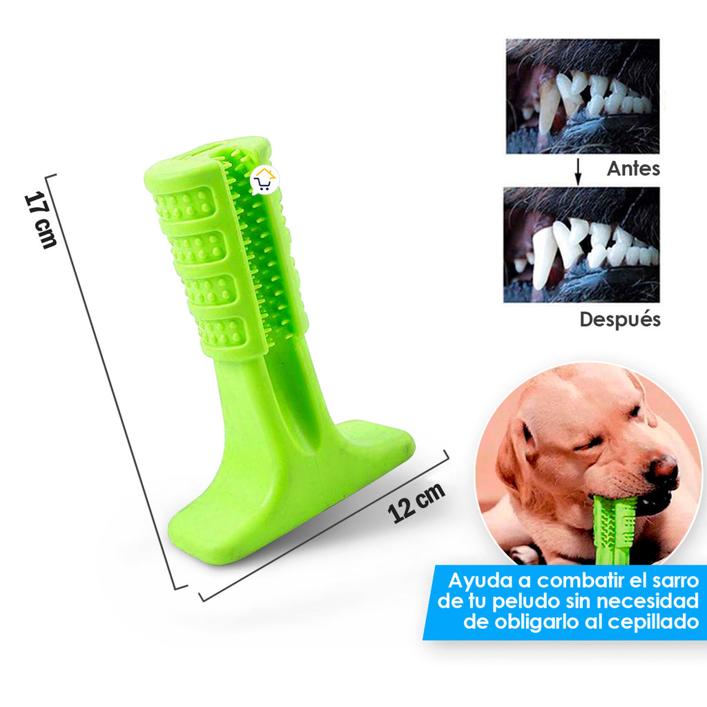 Juguete Cepillo Dientes Grande